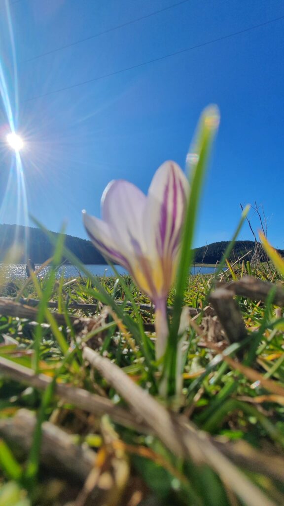 capodanno sila 1 gennaio 2023