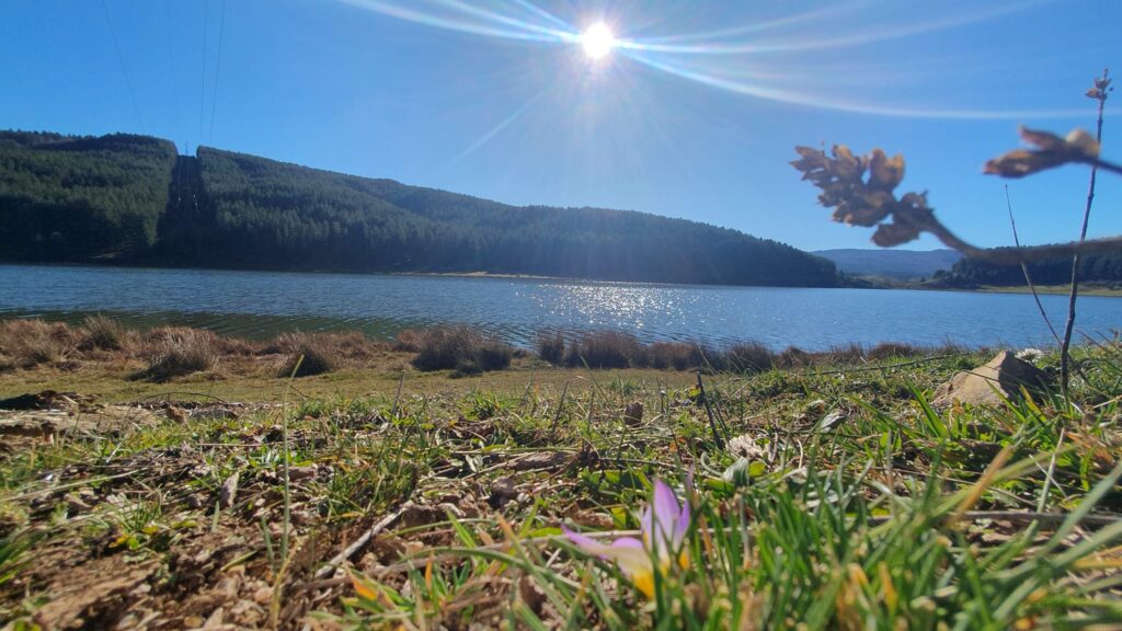 capodanno sila 1 gennaio 2023