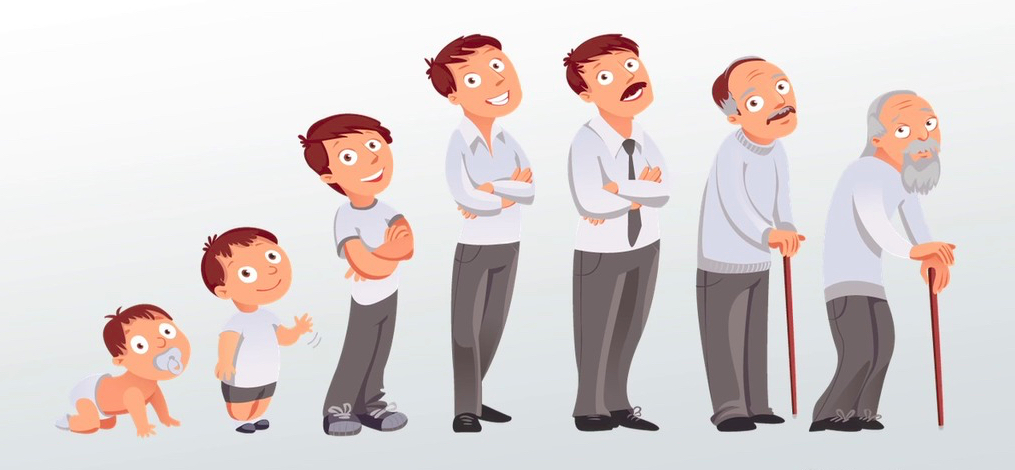 orologio del ciclo vitale