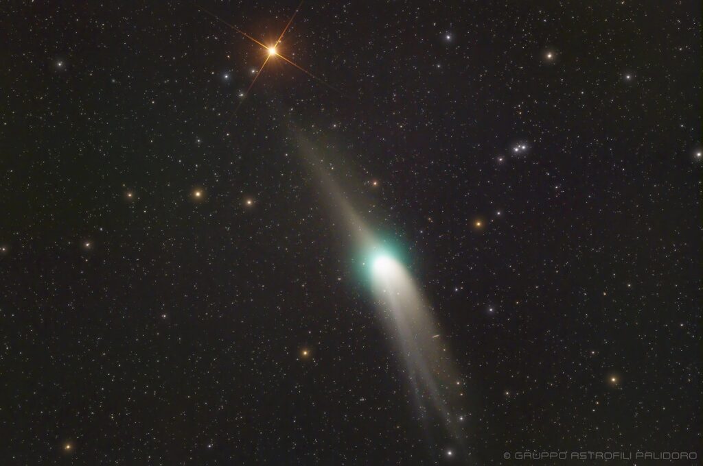 cometa neanderthal