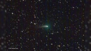 cometa neanderthal