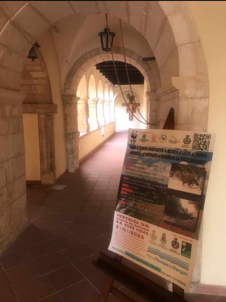 corso mesoraca
