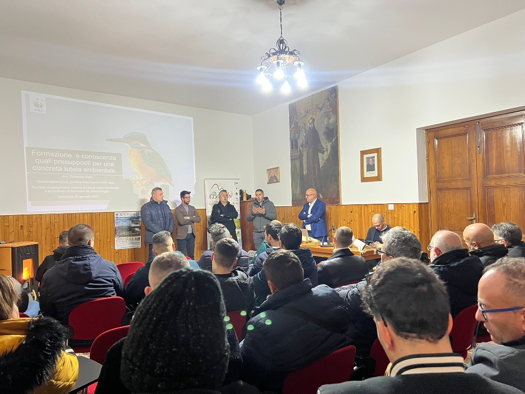 corso mesoraca