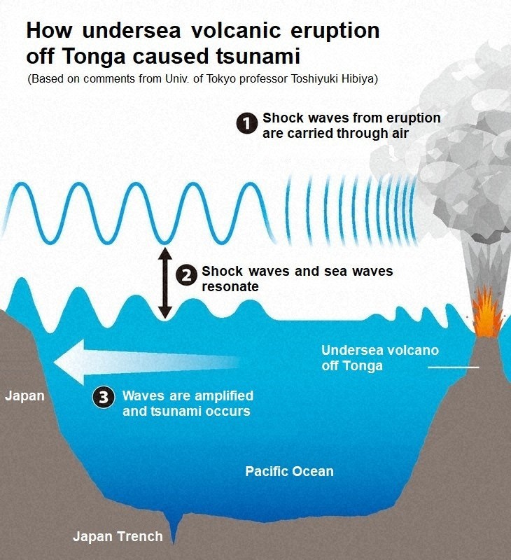 eruzione tonga tsunami 