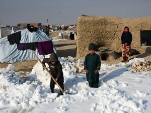 freddo afghanistan