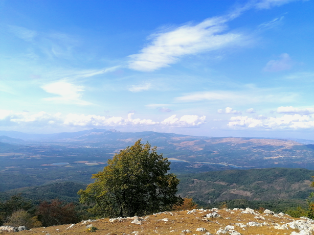 idrocarburi val d'agri