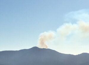 incendi liguria alassio 31 gennaio