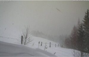 neve austria