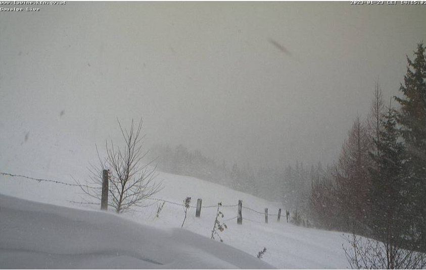 neve austria