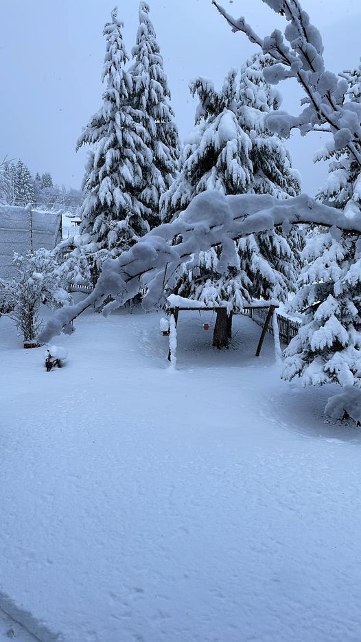 neve friuli tarvisio