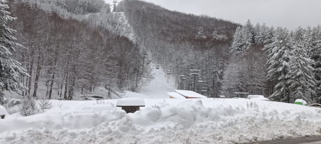 neve lorica