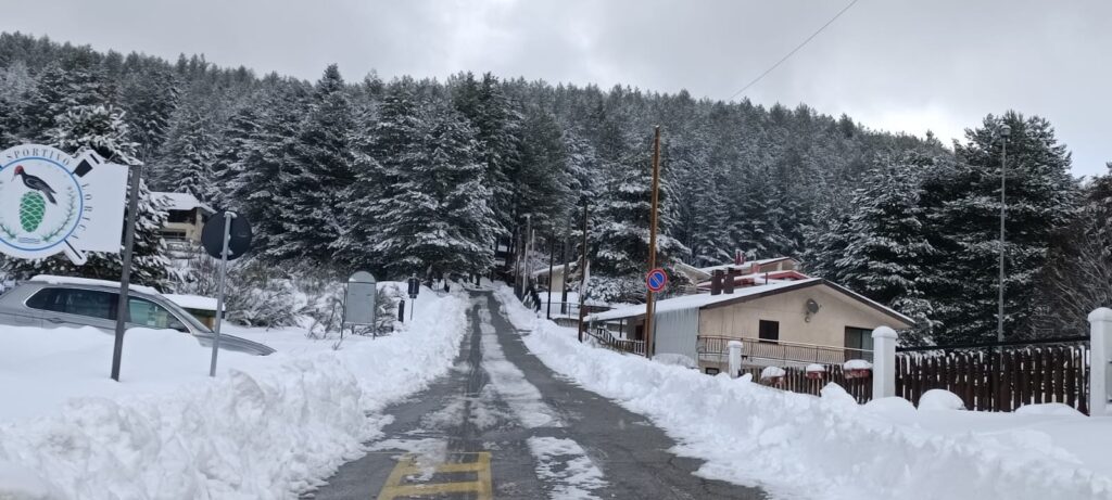 neve lorica