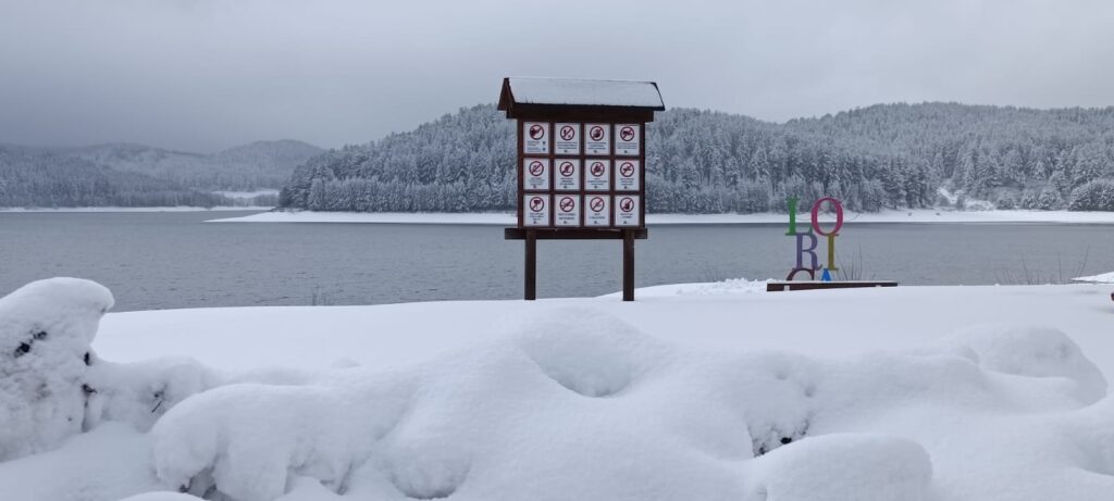 neve lorica
