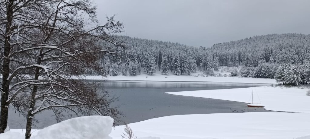 neve lorica