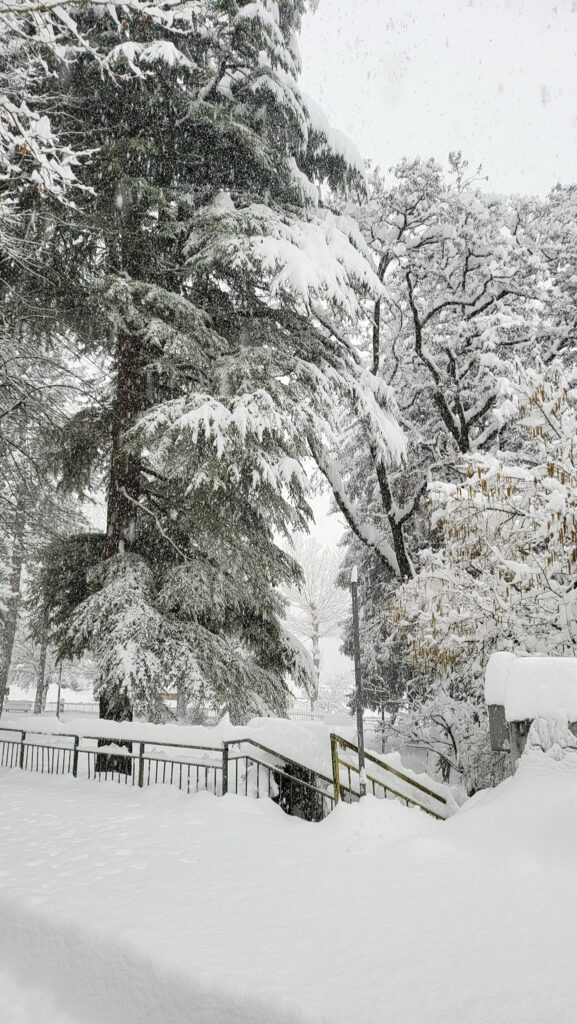 neve norcia umbria