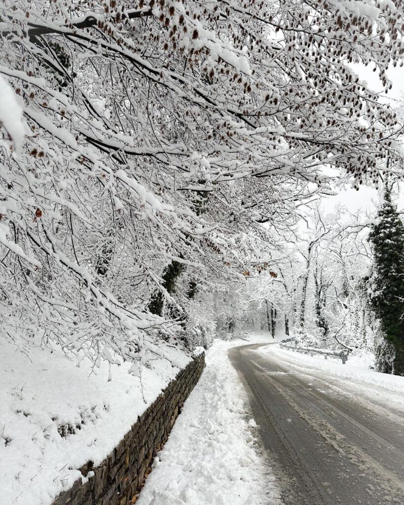 neve oggi Monte Maddalena