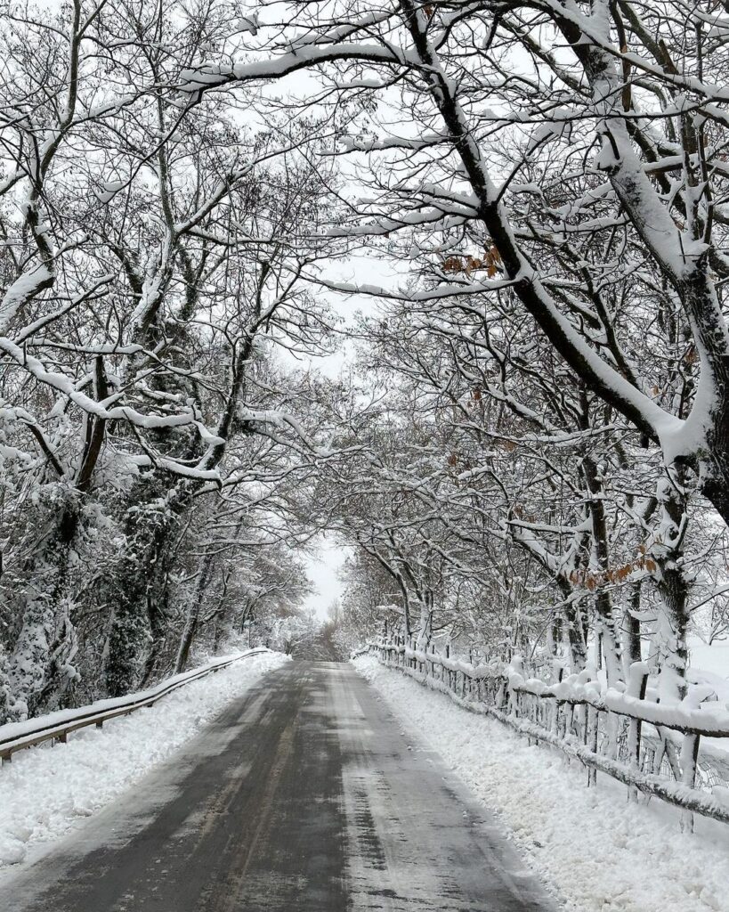 neve oggi Monte Maddalena