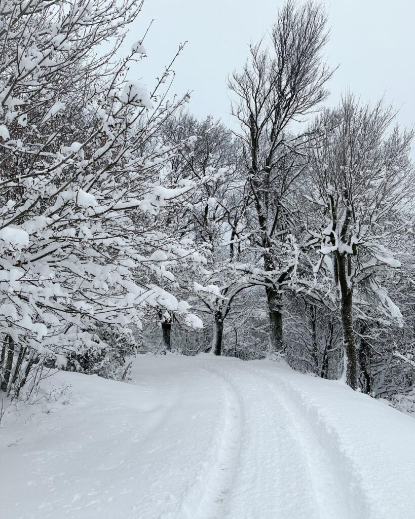 neve oggi Monte Maddalena