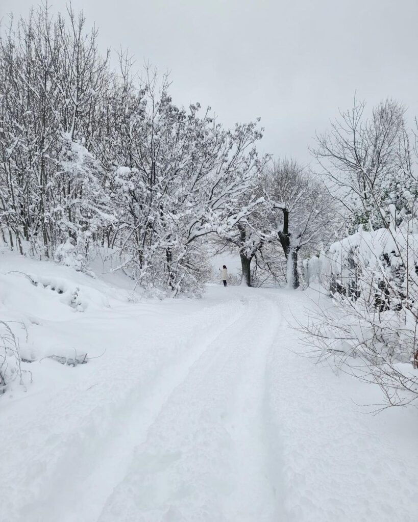neve oggi Monte Maddalena