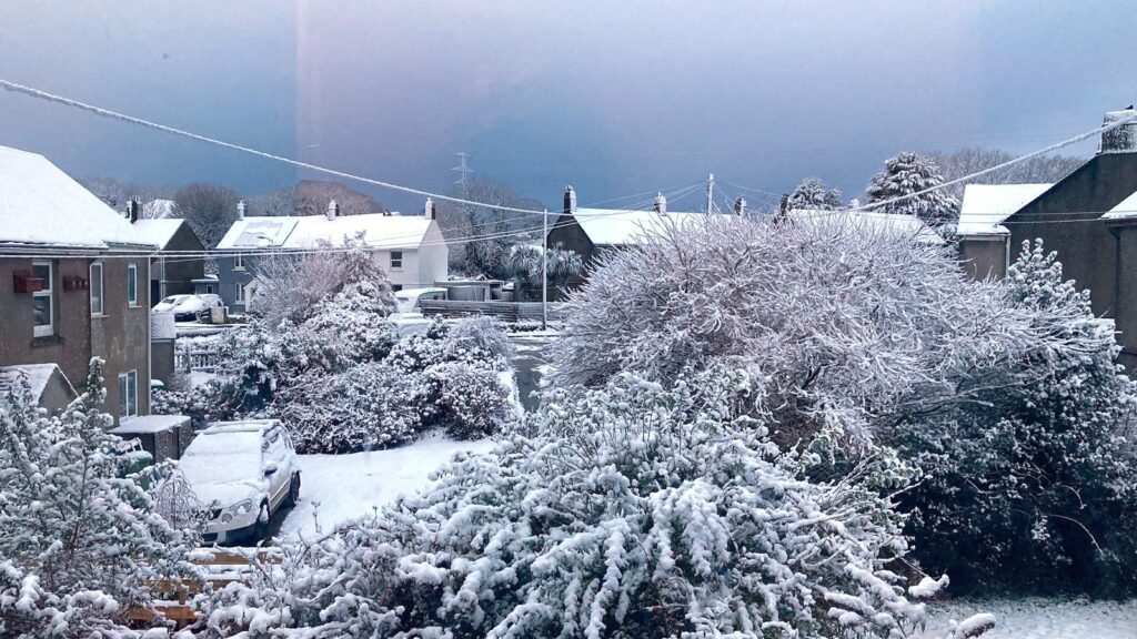 neve regno unito