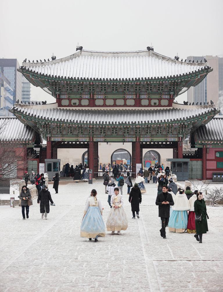 Polsini In Spugna Originali Corea Del Sud - Assorbenti E Confortevoli, Taglia Unica Elasticizzata (7x8 Cm), 80% Cotone