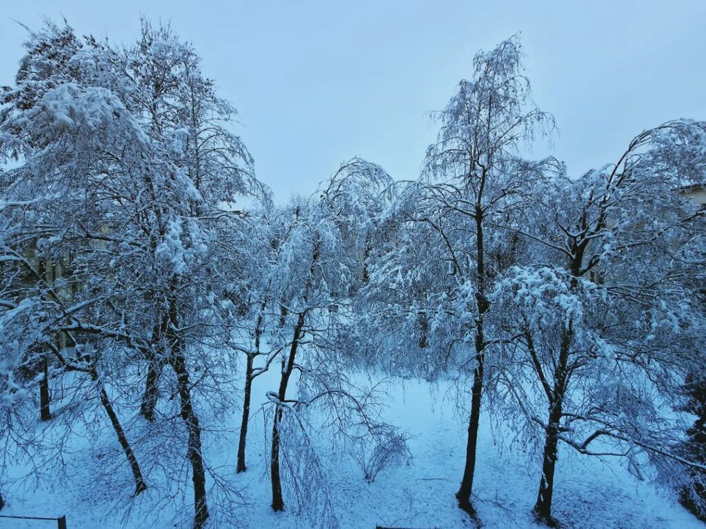 neve slovenia 16 gennaio 2023