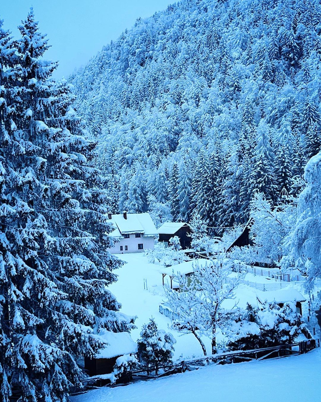 neve slovenia oggi