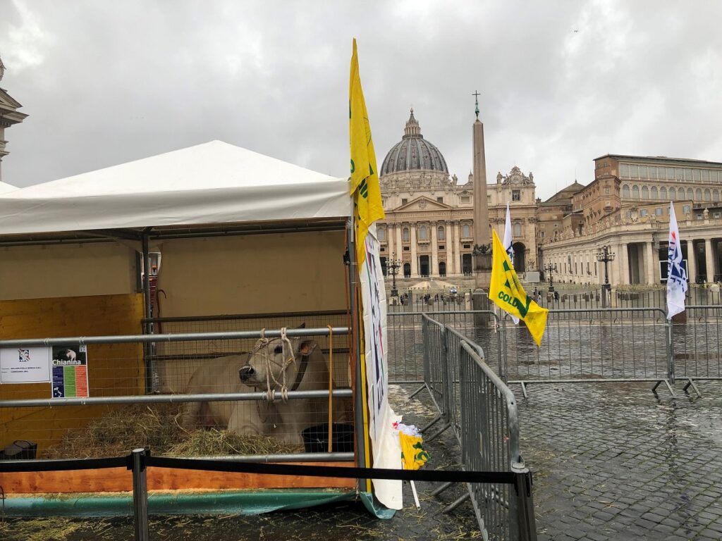 stalle coldiretti