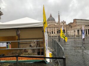 stalle coldiretti