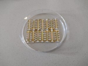 transistor lignina