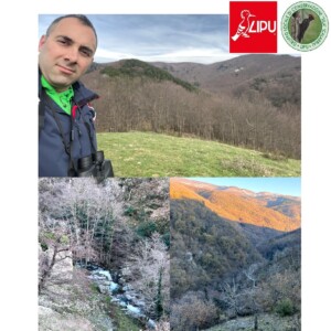 GLC LIPU SILA - F.Cardone - Martucci
