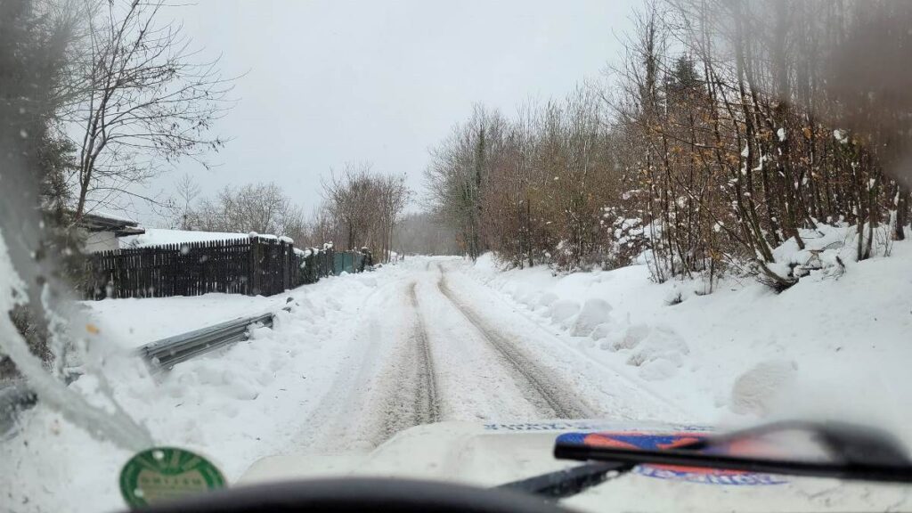 neve mongiana