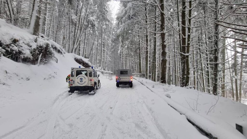 neve mongiana