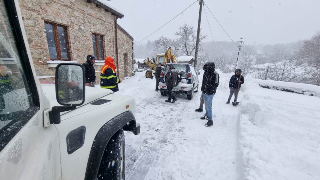neve mongiana