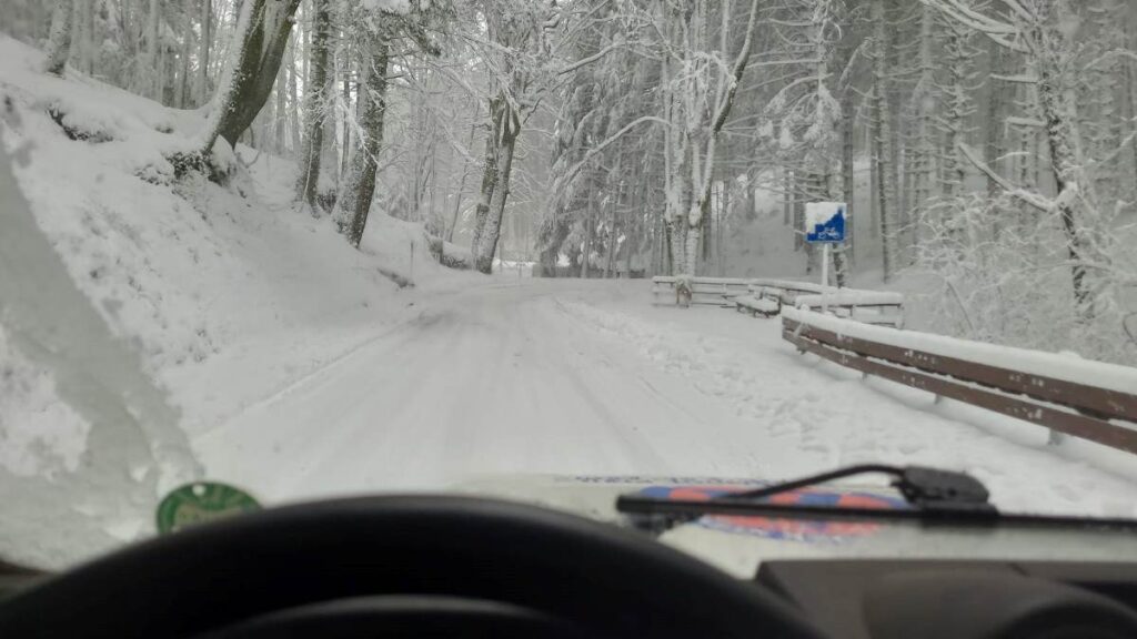 neve mongiana