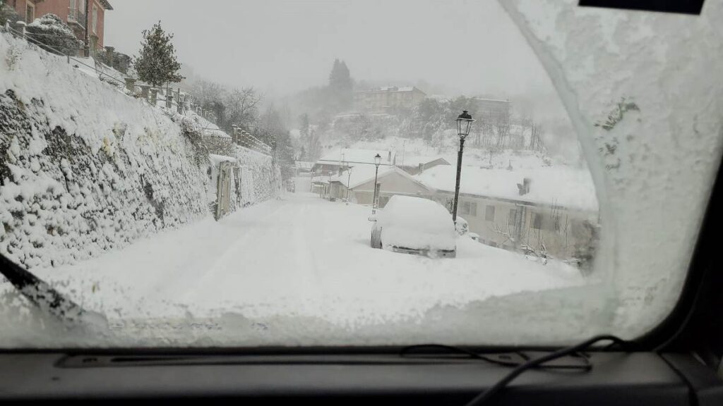 neve mongiana