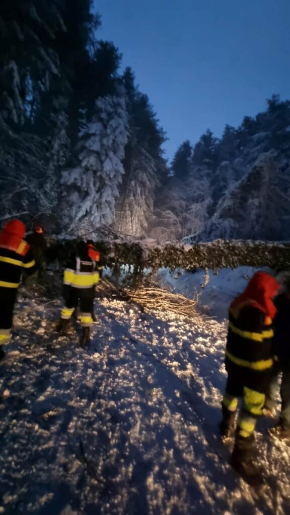 neve mongiana