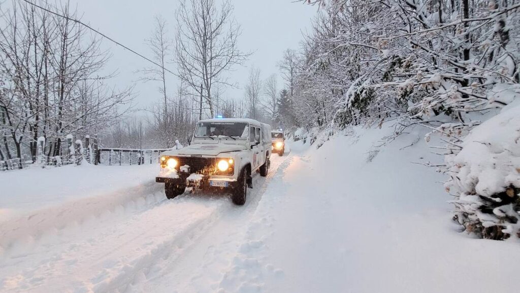neve mongiana