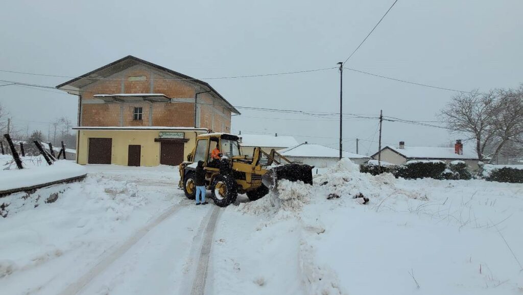 neve mongiana