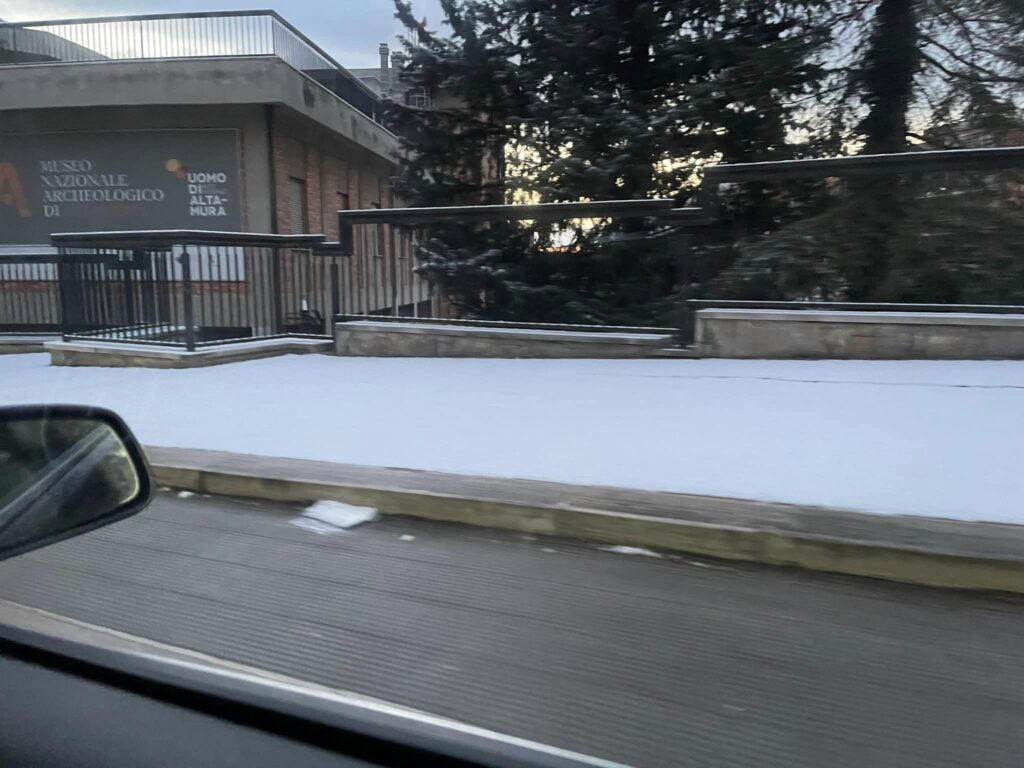 Neve Altamura Bari