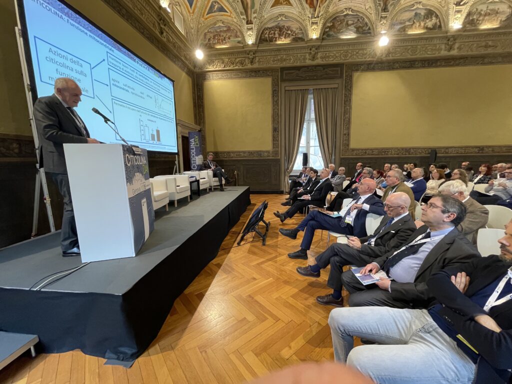 citicolina day ictus