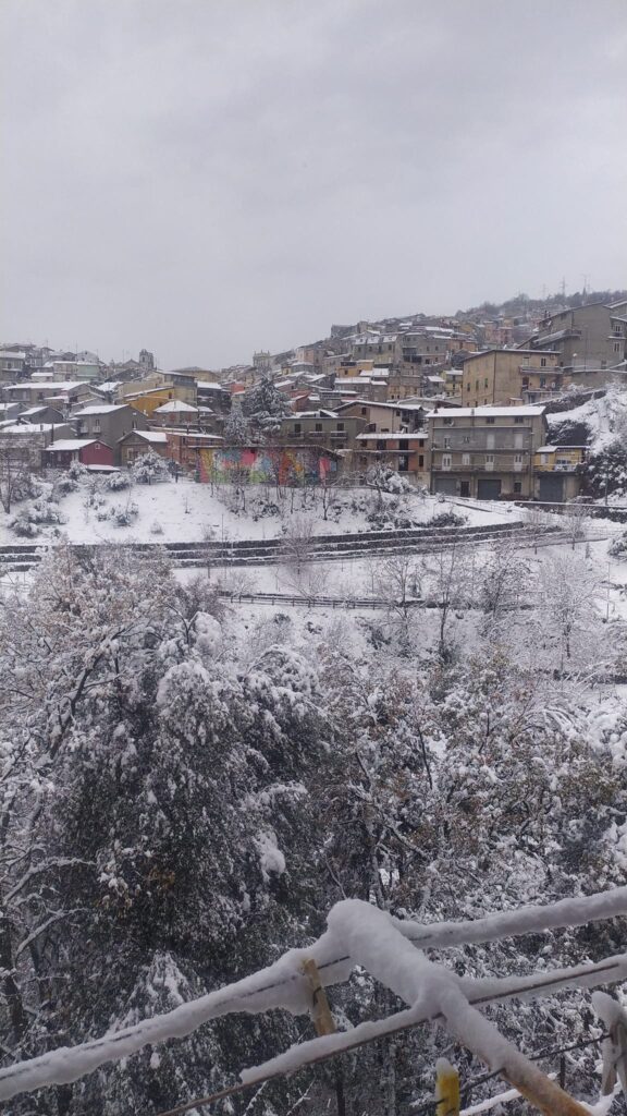 neve Sersale