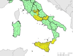 bollettino meteo protezione civile 28 febbraio