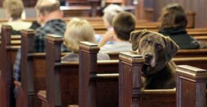 cane in chiesa