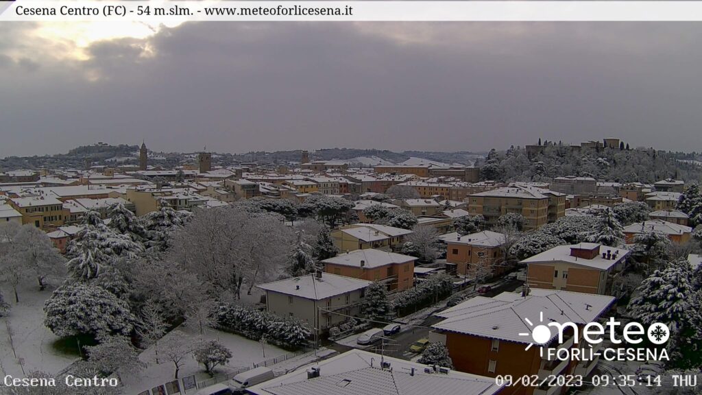 cesena