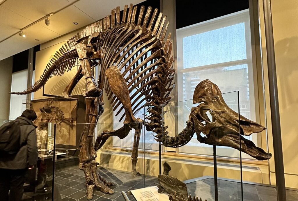 dinosauri
