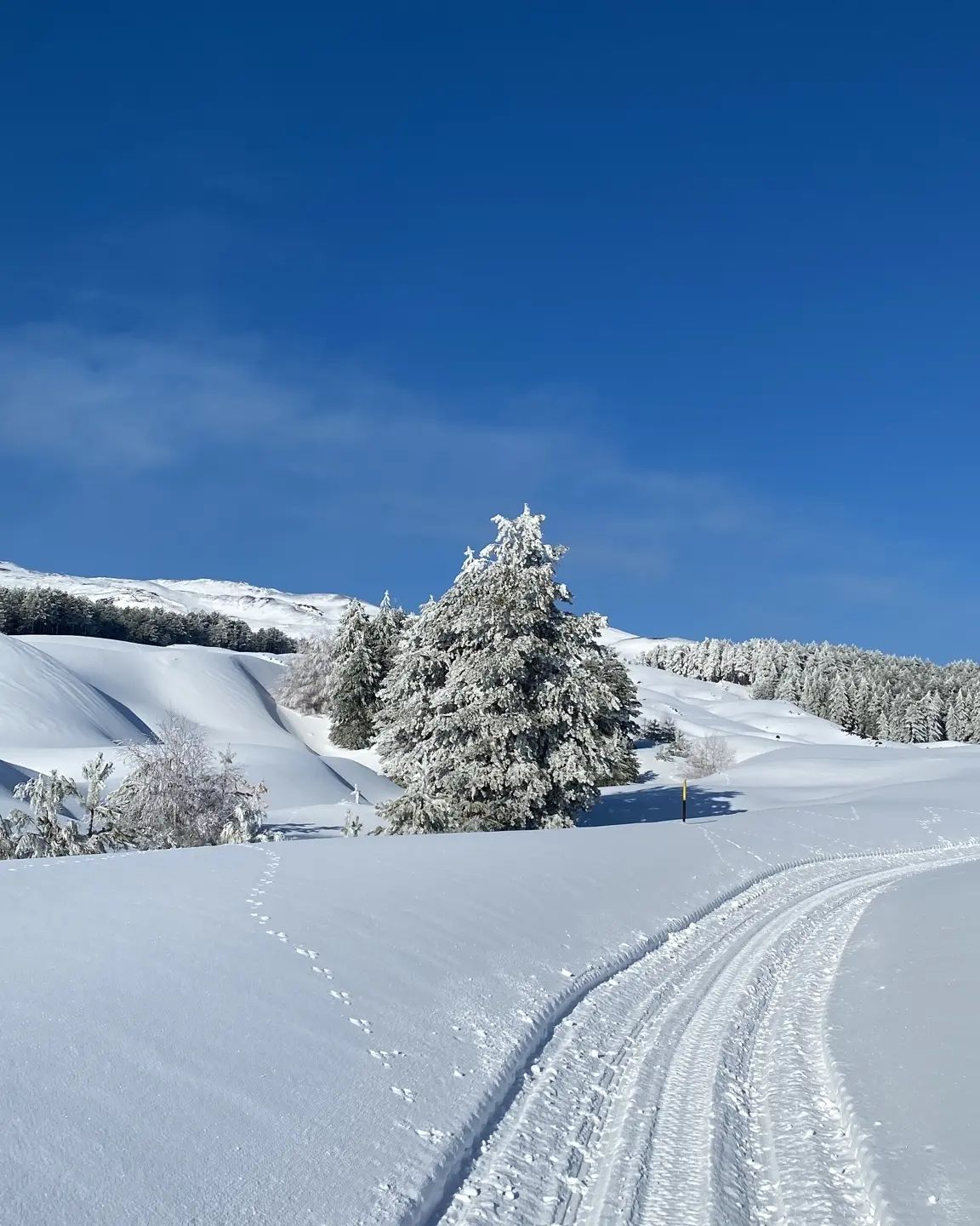 etna neve record febbraio 2023