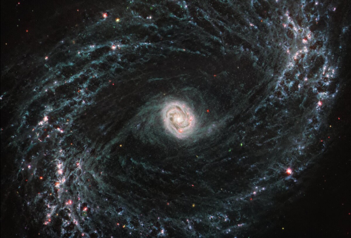 galassia NGC 1433 webb
