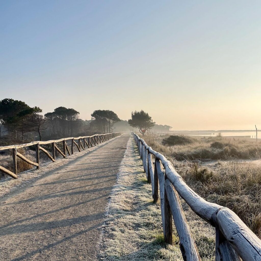 gelo spiaggia freddo alba