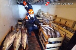 guardia costiera tonno rosso